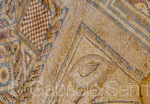 201105Zypern(II) (69)