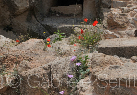 201105Zypern(II) (124)