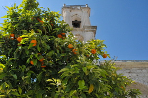 201105Zypern(II) (389)