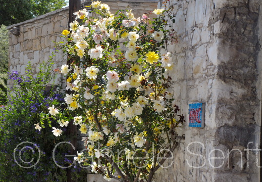 201105Zypern(II) (399)