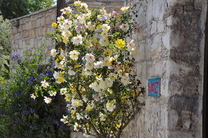201105Zypern(II) (399)