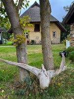 2023 09 12 Bornhaus mit Reetdach 1