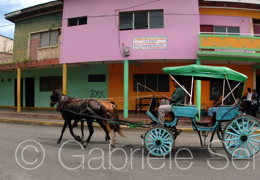 2008-07-16-17-50-05 (1)