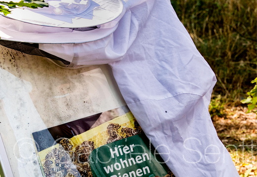 2020 Bienen im Übergangswohnheim