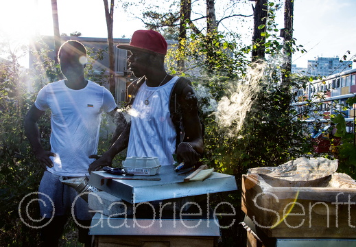 22.09.2020 an den Bienenkästen 