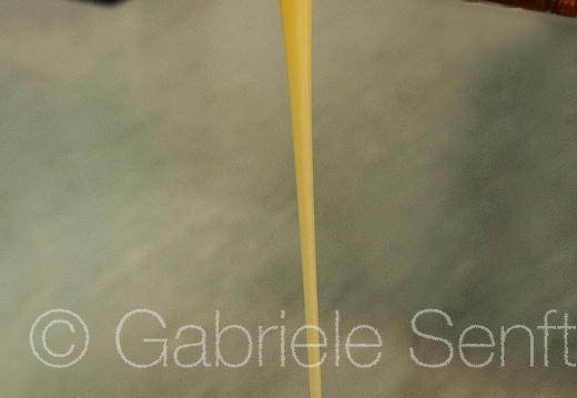 September 2020 Honigernte  