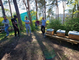 Frühjahr 2020 - an den Bienenkästen