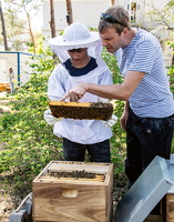 April 2020 Bienenpflege 