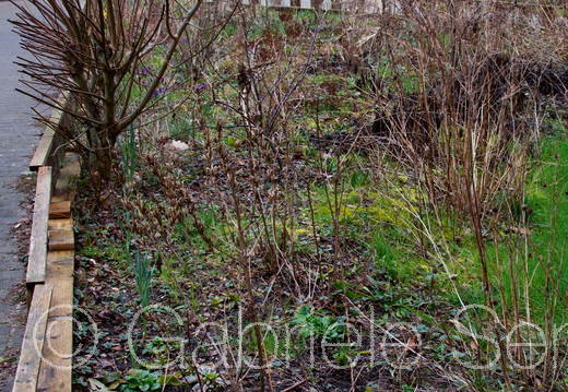 2020 Übergangsheim Alfred Randt Straße Berlin Treptow Köpenick