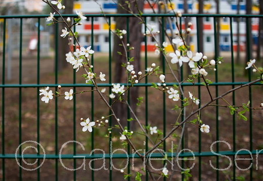 Frühjahr 2020 – Übergangsheim Alfred Randt Straße Berlin Treptow Köpenick