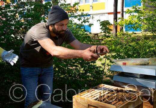 Frühjahr 2020 – Hasan an den Bienenkästen