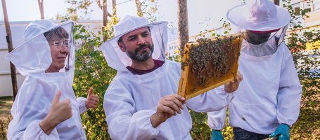 September 2020 Bienenpflege