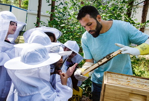 Juli 2020  Ein ganz besonderer Tag bei den Bienen,
