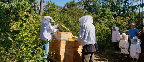 August 2020 Honigernte bei den Bienen im Übergangswohnheim