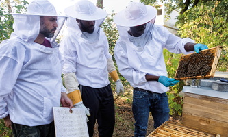 Oktober 2020 bei der Bienenpflege