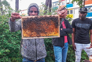 Dez. 2020 Yonas Kibrom aus Eritrea, Bienenpfleger