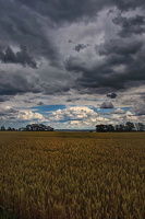 04.07.2023 Landschaft bei Greifswald