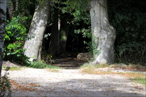 10.-11.09.Worpswede (85)