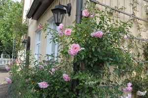 10.-11.09.Worpswede (108)