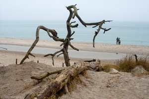 20250311-12-22-01-Bearbeitet-Bearbeitet