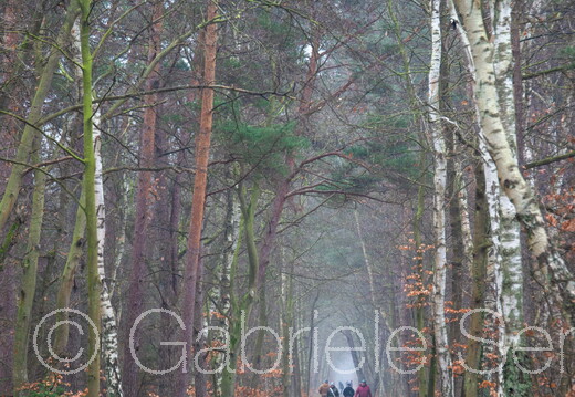 11.03.2025 Weg vom Parkplatz Drei Eichen zum Meer