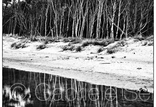 20250311-12-09-24-Bearbeitet-Bearbeitet