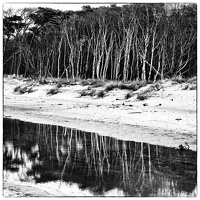 20250311-12-09-24-Bearbeitet-Bearbeitet