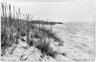 20250310-12-19-50-Bearbeitet-2-Bearbeitet-Bearbeitet-Bearbeitet
