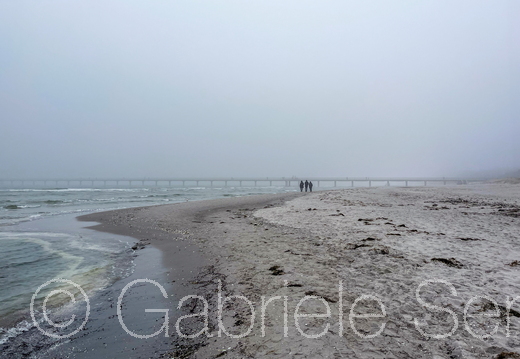 20250310-12-40-56-1Bearbeitet Kopie