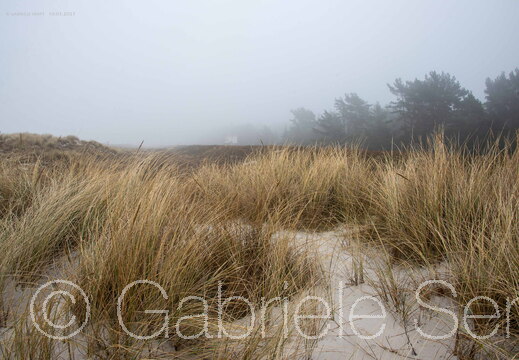 11.03.2025 Weststrand im Nebel