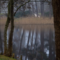 20250310-14-07-01-Bearbeitet