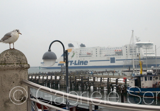20140127 Warnemünde 6