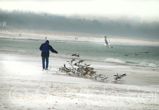 20140127 Warnemünde 28