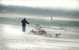 20140127 Warnemünde 28