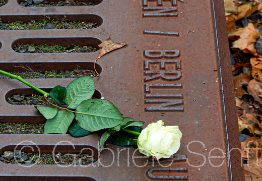 2018-10-18-12-34-54 Kopie