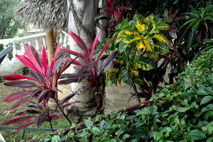 2008 07 ab 16 Nicaragua Teil 5 265