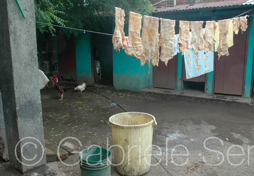 2008 07 ab 16 Nicaragua Teil 5 704 2