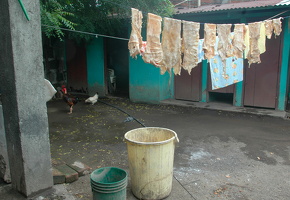 2008 07 ab 16 Nicaragua Teil 5 704 2