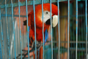 Nikaragua 08 07 15-18 (262)