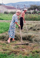 juli 1998  Heuernte in den ukrainischen Karpaten, Nishnje Selischtsche