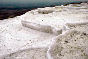 - (119)1
