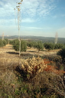 DSC 2758 1