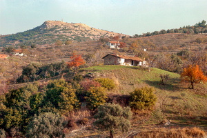 DSC 2741 1