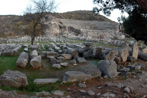 DSC 2733