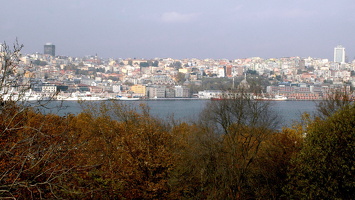 DSC 2398 1