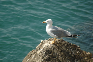 2008 08  Bulgarien (269)