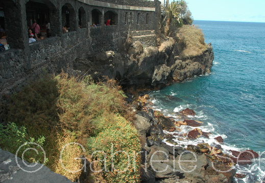 DSC 5960