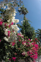 DSC 5999