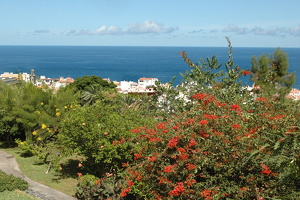DSC 6004