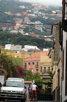 DSC 6053
